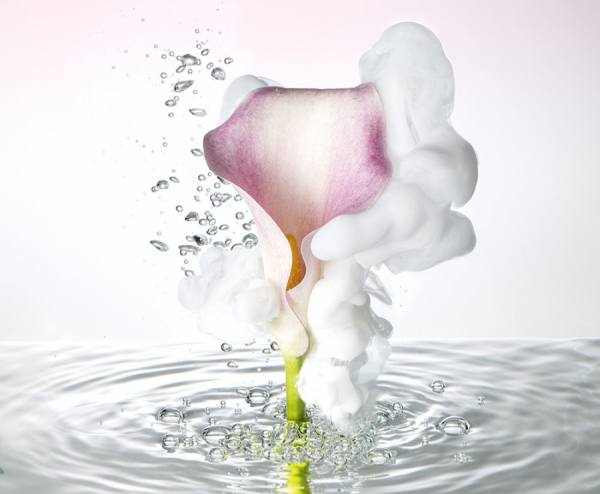 Photograph Mark Mawson Lily on One Eyeland